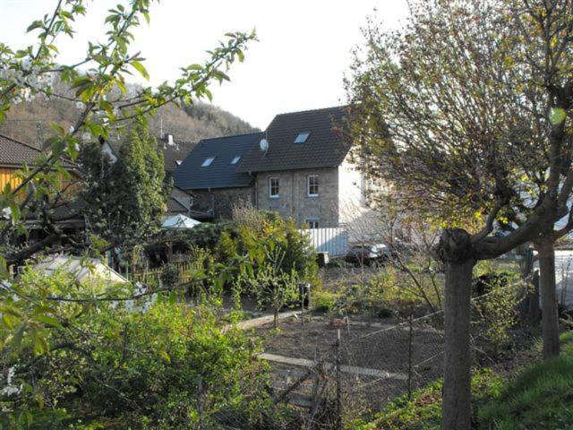 Bed and Breakfast Marcos Heuboden Oberzissen Zewnętrze zdjęcie