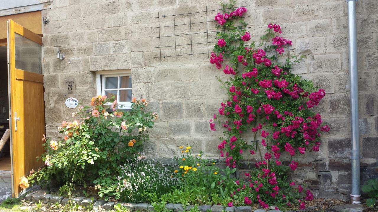 Bed and Breakfast Marcos Heuboden Oberzissen Zewnętrze zdjęcie